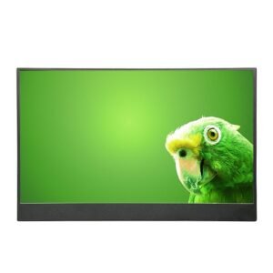 MONITOR PORTATIL TIPO LED, COM TELA DE 15.6", RESOLUCAO FULL HD